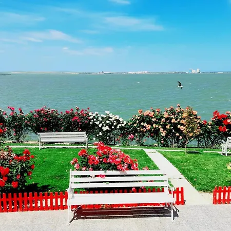 Lakeviewhouse2 *