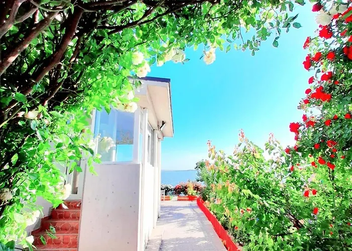 Guest house Lakeviewhouse2 *