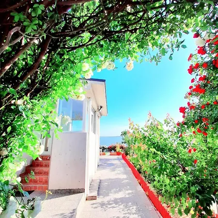 게스트하우스 Lakeviewhouse2 *